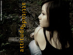 Attitude17