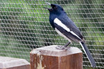 20060603_01309