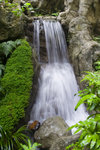 20060603_01549