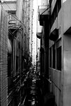 20060701_010098