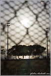 20060719_0985
