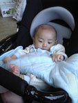 ap_20080408113807641