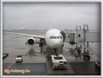 IMG_0073 copy