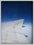 IMG_1348 copy
