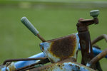 _DSC0529