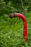 _DSC0546