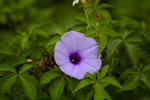 _DSC0549