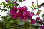 _DSC0553