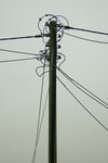 _DSC0559