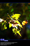 IMG_1744