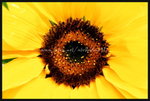 RVP100F_20460007