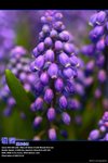 IMG_0005