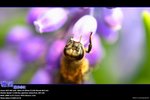 IMG_0008