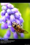 IMG_0015