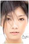Avis_01