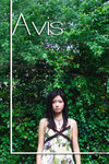 Avis_04