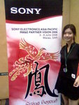 Sony's theme "Phoenix"