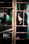 avis0309