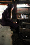avis0310
