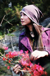 avis0315