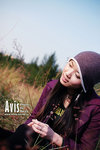 avis0319