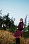 avis0333