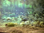 06-04-09_13-01