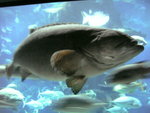 06-04-09_13-06