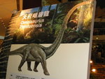 omeisaurus tianfuensis (board)