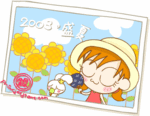 2003summer