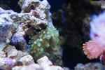 DSC01816