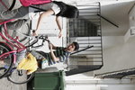 IMG6795