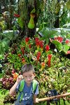 DSCF5202