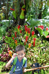 DSCF5203