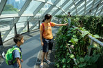 DSCF5229
