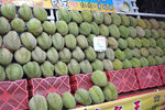 DSCF5372