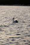 DSCF8920