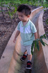 DSCF8890
