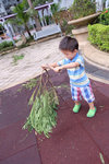 DSCF8946