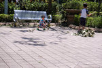 DSCF8964