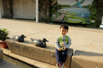 DSCF0347