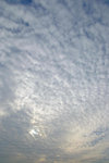DSCF2724