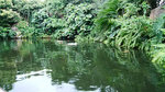 P1000348