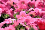 08HKFS022RVP100F