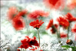 08HKFS025RVP100F