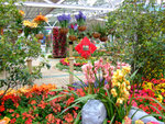 DSCF0490