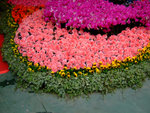 DSCF0496