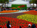 DSCF0497