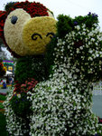 DSCF0501