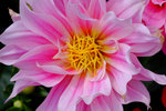 DSCF0025